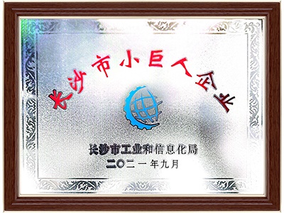 長(cháng)沙市小巨人企業(yè)